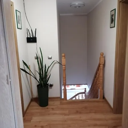 Nad Wilczym Potokiem Фермерский дом Мендзыгуже