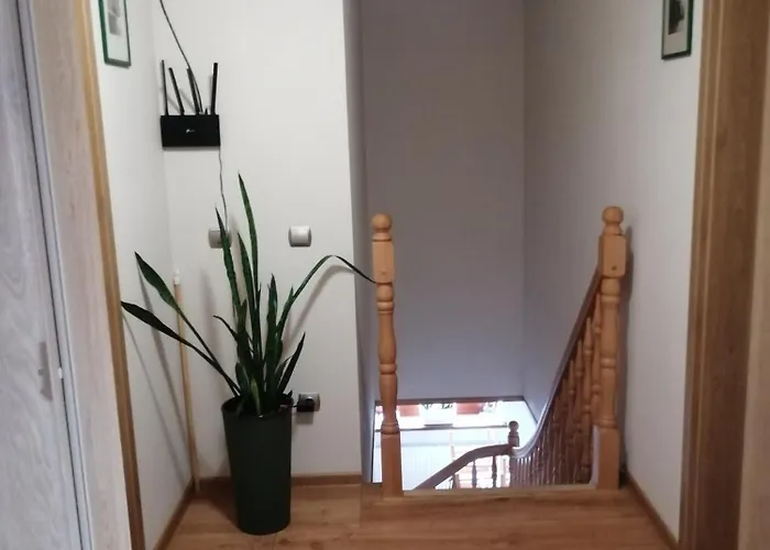 Nad Wilczym Potokiem Farma Miedzygorze